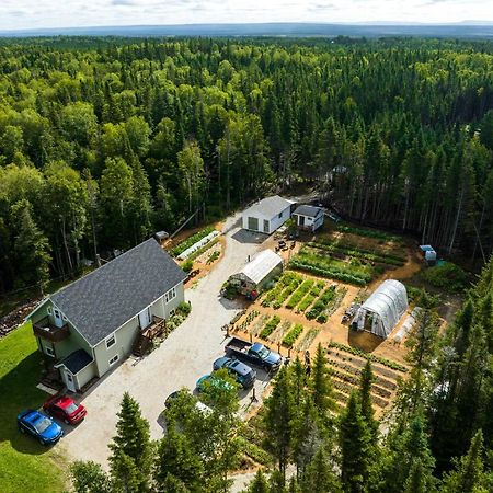 Upper Humber Settlement Bed & Breakfast Cormack Eksteriør bilde