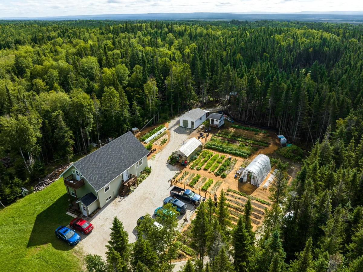 Upper Humber Settlement Bed & Breakfast Cormack Eksteriør bilde