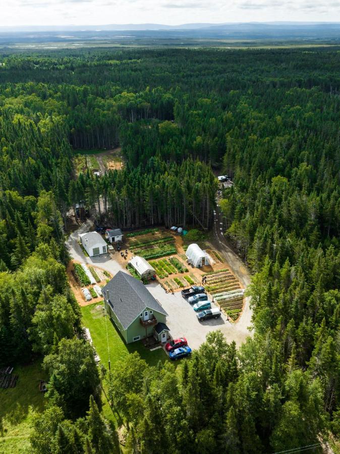 Upper Humber Settlement Bed & Breakfast Cormack Eksteriør bilde